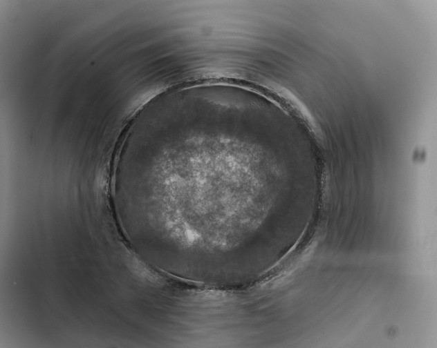 X0000102770785200808251051