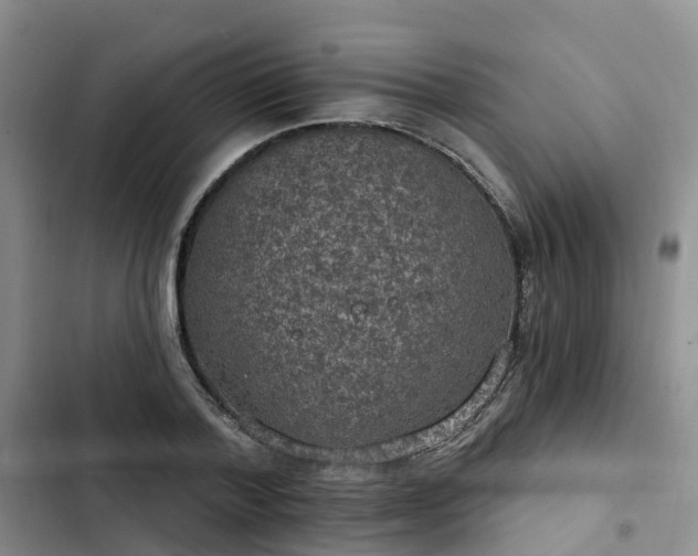 X0000102770788200808251051