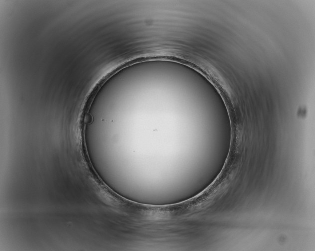 X0000102770789200808251050