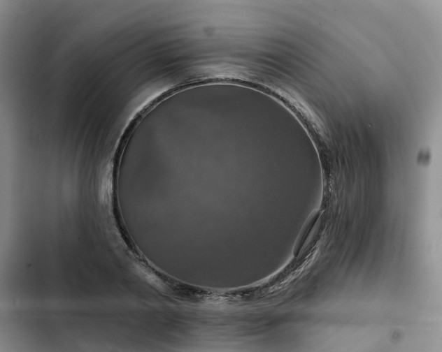 X0000102770790200808251050