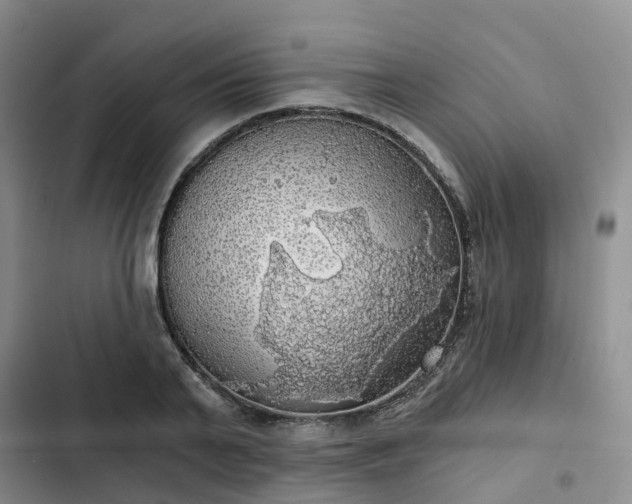 X0000102770791200808251050