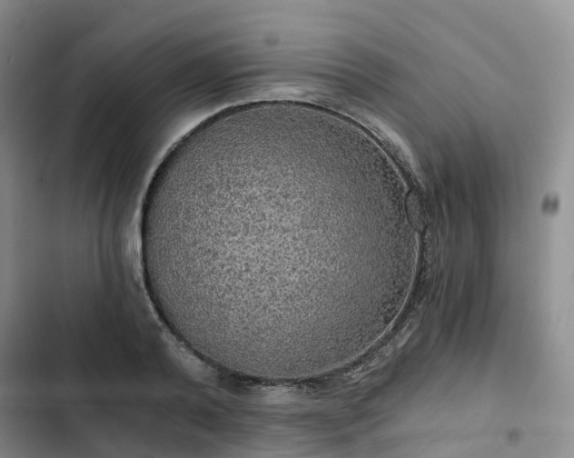 X0000102770792200808251050