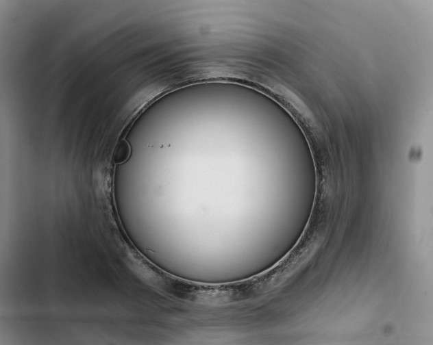 X0000102770793200808251050