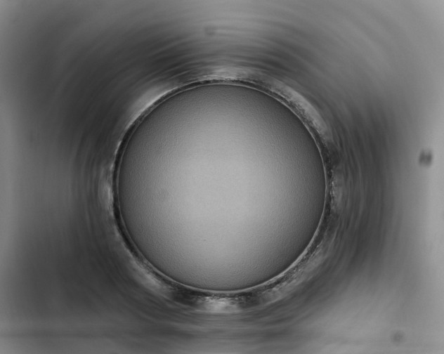 X0000102770794200808251050