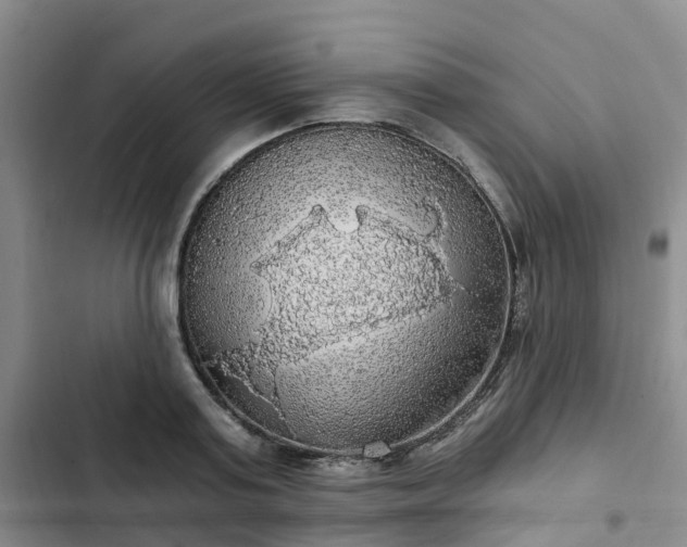 X0000102770795200808251050