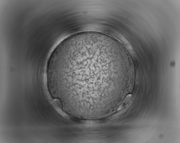 X0000102770796200808251050