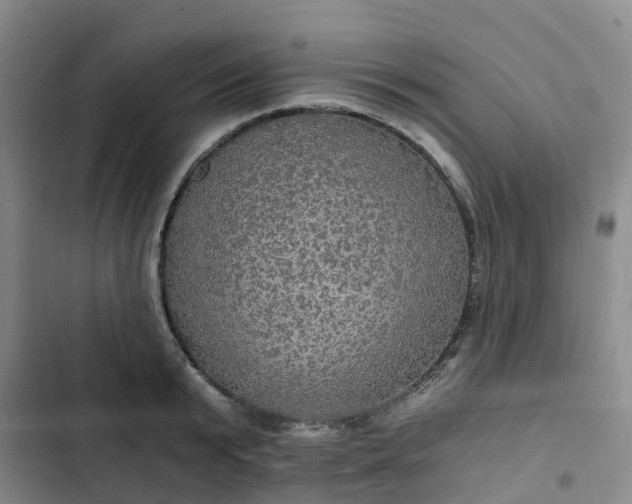 X0000102770799200808251050