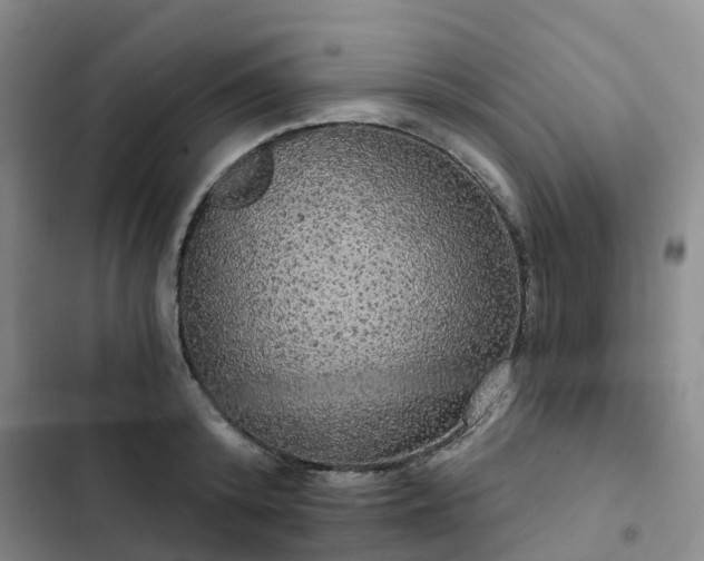 X0000102770800200808251050