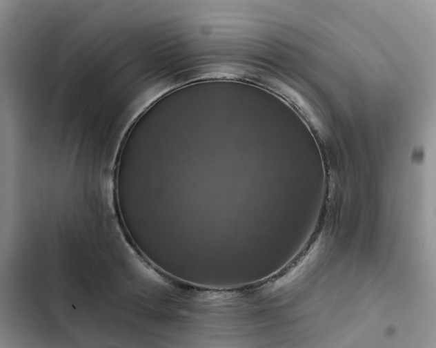 X0000102770802200808251050