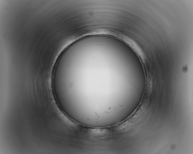 X0000102770805200808251050