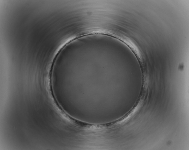 X0000102770806200808251050