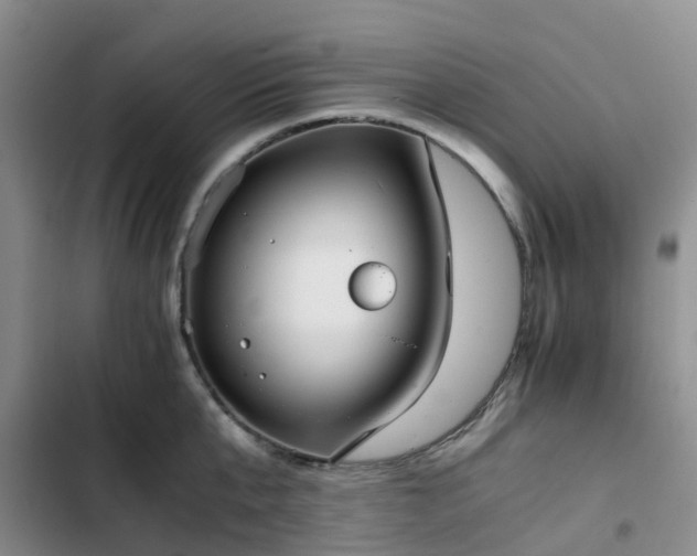 X0000102770807200808251050