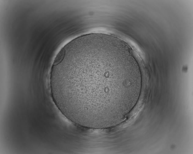 X0000102770808200808251050