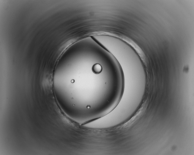 X0000102770809200808251050