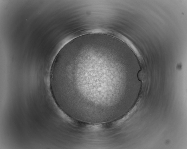 X0000102770810200808251050