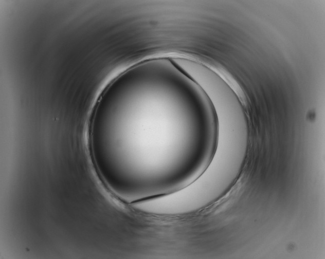 X0000102770813200808251050