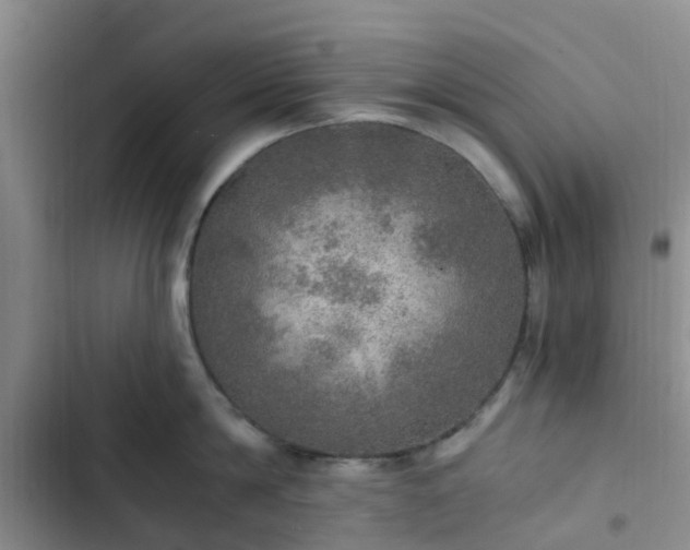 X0000102770814200808251050