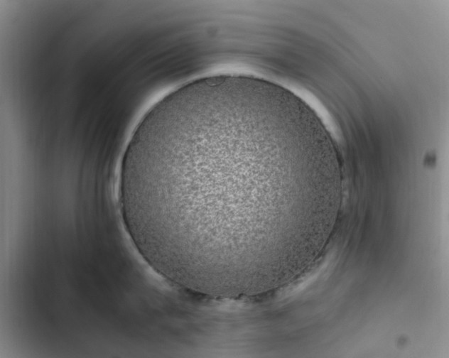 X0000102770815200808251050