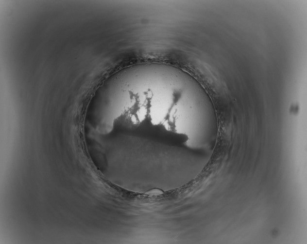 X0000102770817200808251049