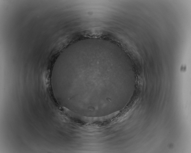 X0000102770818200808251049