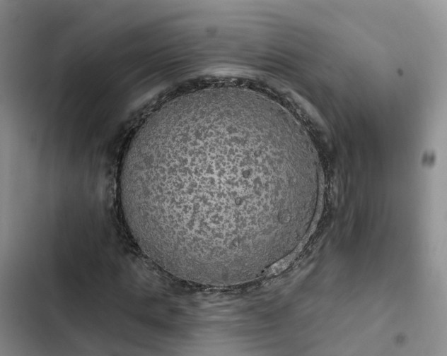 X0000102770821200808251050