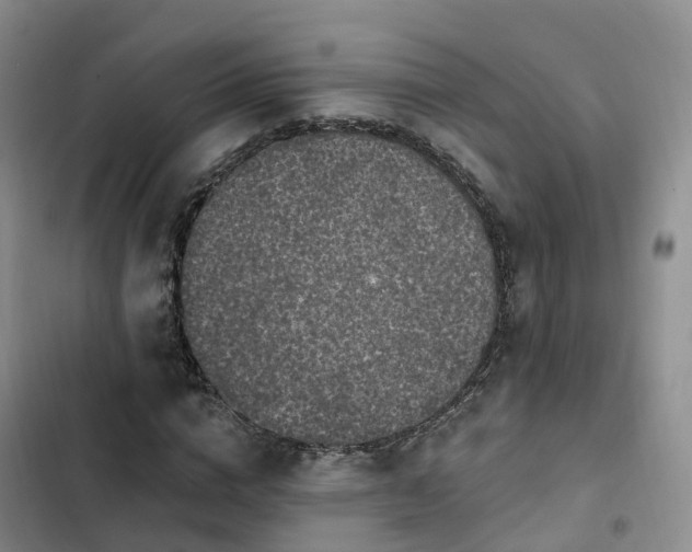 X0000102770824200808251050