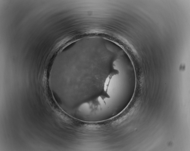 X0000102770825200808251050