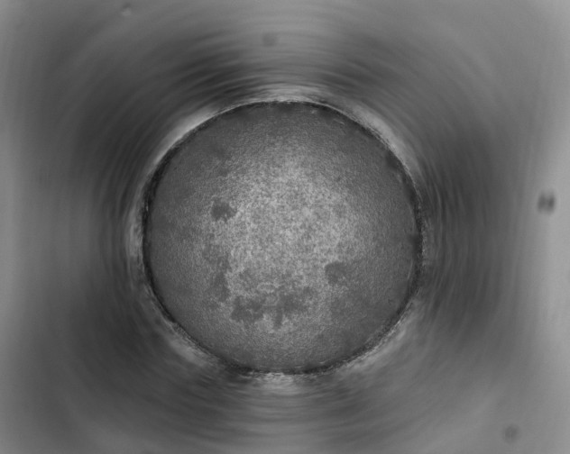 X0000102770827200808251050