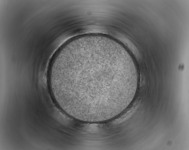 X0000102770828200808251050