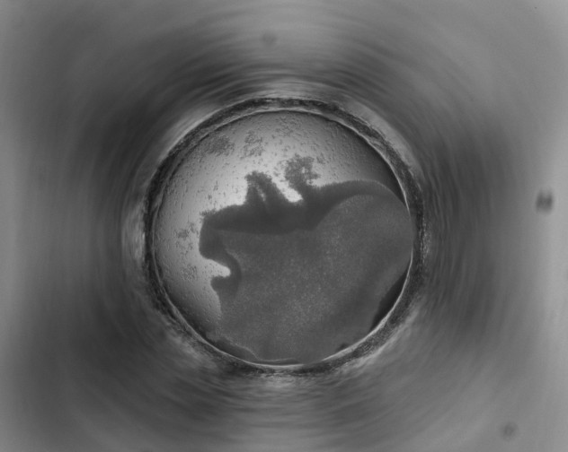 X0000102770829200808251050