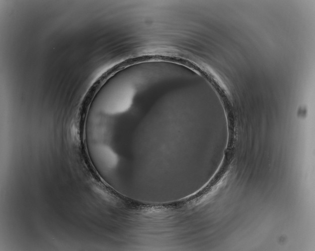 X0000102770830200808251050