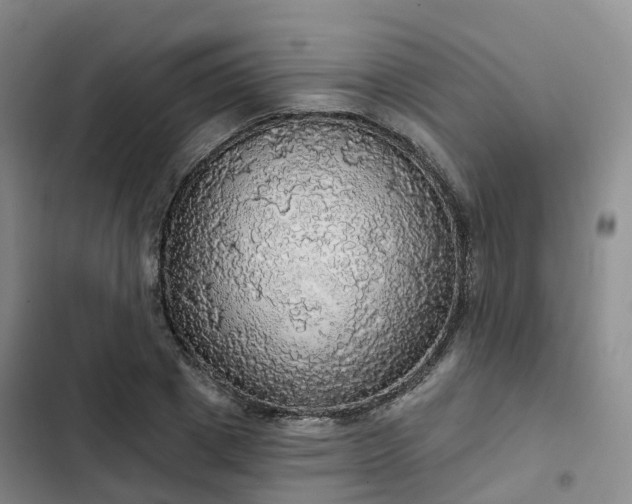 X0000102770833200808251050