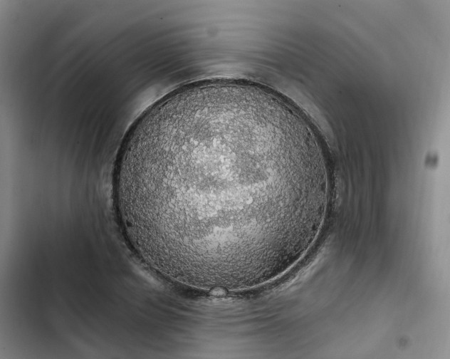 X0000102770834200808251050