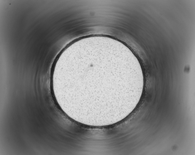 X0000102770836200808251050