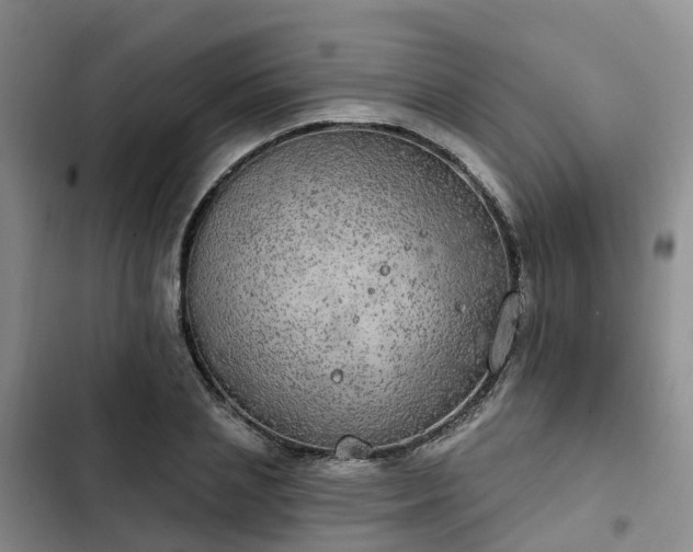 X0000102770837200808251050