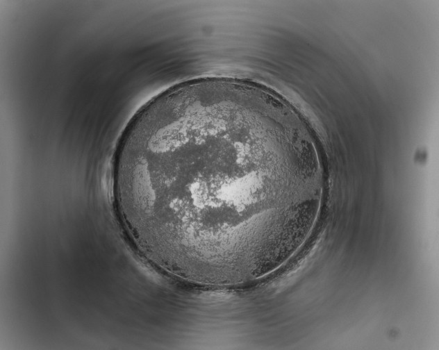 X0000102770838200808251050