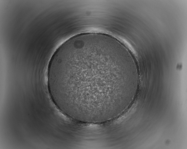 X0000102770839200808251050