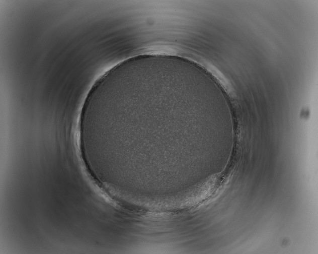 X0000102770840200808251050