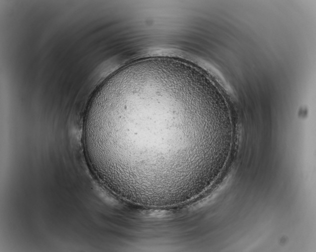 X0000102770841200808251050