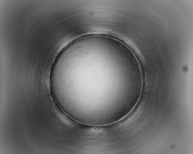 X0000102770842200808251050