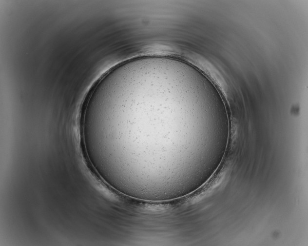 X0000102770843200808251050