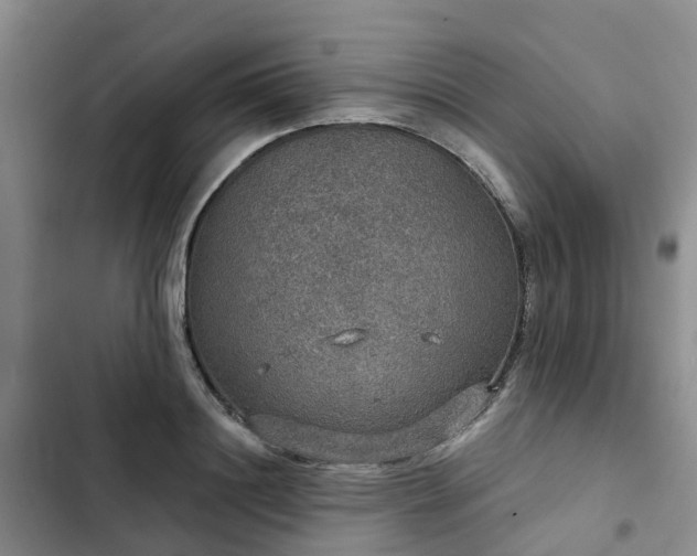 X0000102770844200808251050