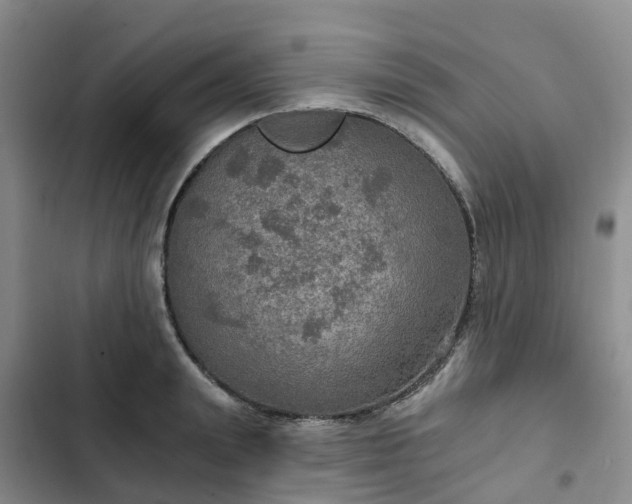 X0000102770847200808251050