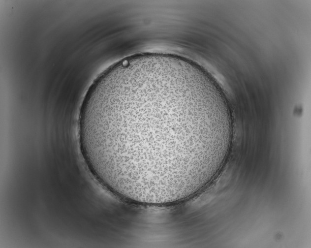 X0000102770848200808251050