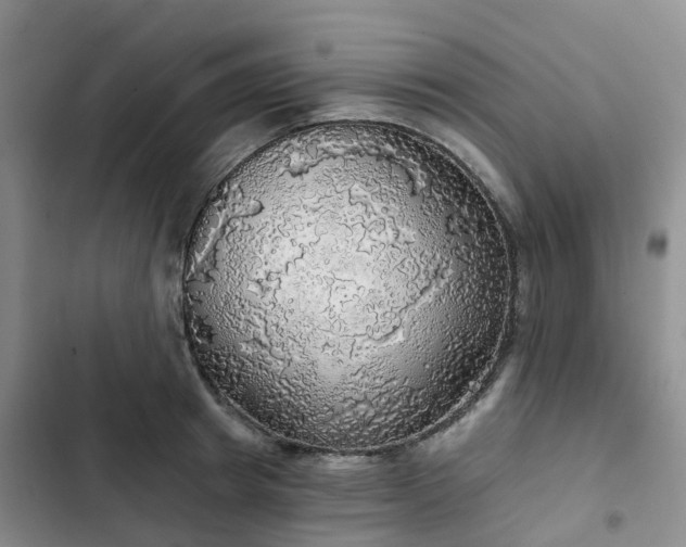 X0000102770849200808251050