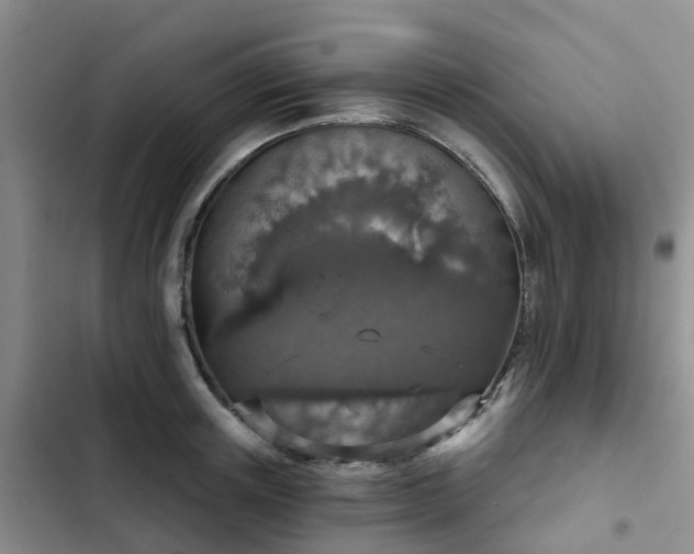 X0000102770851200808251050