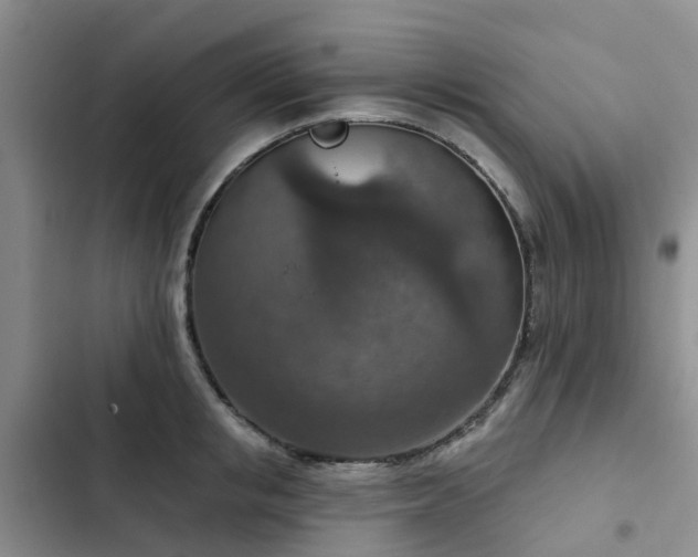 X0000102770853200808251050