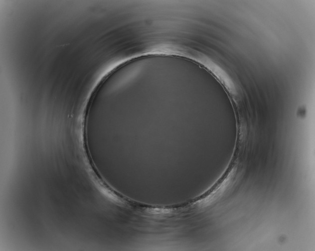 X0000102770854200808251050