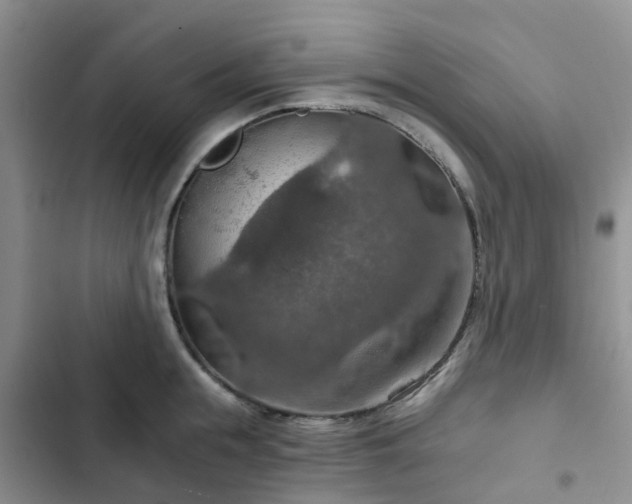 X0000102770855200808251050