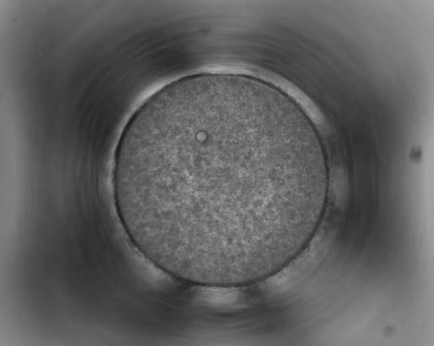 X0000102770856200808251050